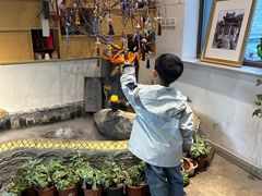 -云座·时光·观景咖啡厅(五爷庙店)