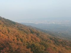-紫金山山顶公园