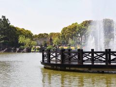 -上海鲜花港