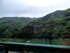 -后柳水乡
