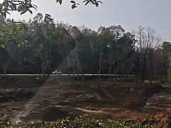 -青龙山国家森林公园