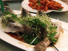 清蒸青斑-鱼乐轩海鲜专门店