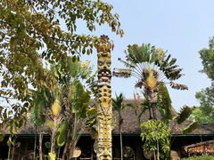 -西双版纳原始森林公园