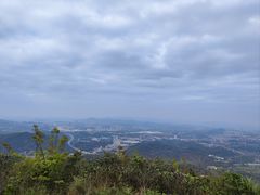-黄埔油麻山森林公园
