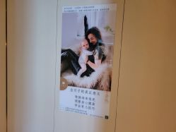 -大美母婴月子中心(希尔顿店)