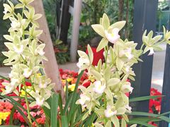 -北京植物园-展览温室