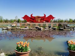 -泗洪洪泽湖湿地景区