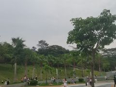 -白石龙音乐公园