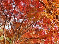 -昆山城市生态森林公园