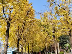 -高庙村(地铁站)