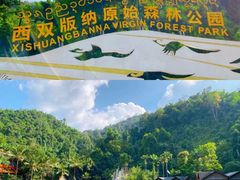 -西双版纳原始森林公园