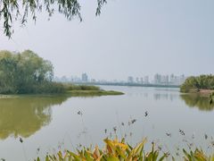 -艾溪湖湿地公园