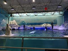 -秦皇岛乐岛海洋王国