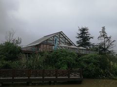 -桤木河湿地公园