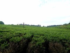 -南京市江宁方山