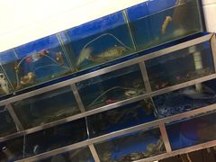 -宾朋海鲜特色美食餐厅·纯手工鲅鱼水饺(兴海路店)