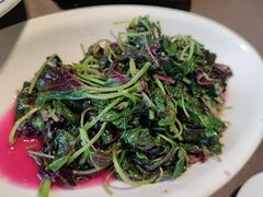 -樽宴酒楼·地道川菜·品质宴请