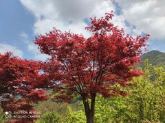 -北仑森林植物园