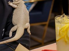 -FAIRYLAND龙族星球主题餐厅(凯丹广场店)