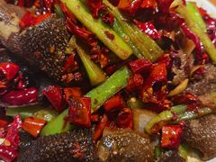 招牌爆毛肚-福苗小骆驼烧烤(莲湖路店)