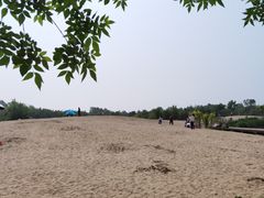 -东郊湿地公园