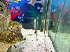 -太平洋海底世界