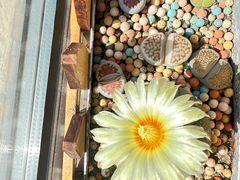 -海底捞火锅(高新活力汇店)