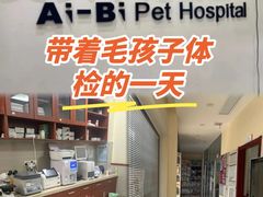 -艾贝尔宠物医院 ·内科全科(梁溪路店)