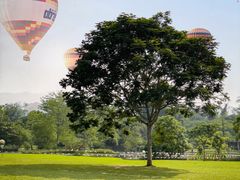 -中国科学院西双版纳热带植物园