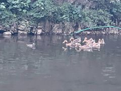 -龙门涧景区