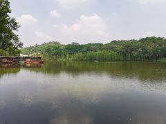 -三水森林公园