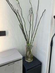 -十六番发型师事务所