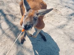 -南京汤山紫清湖生态旅游温泉度假区