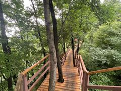 -吉林市朱雀山国家森林公园