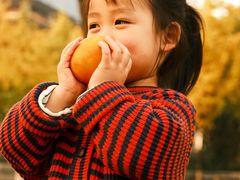 -重庆市江北嘴中央商务区中央公园