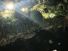 -荔湾湖公园