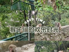 -黔灵山公园