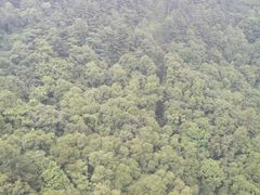 -洛阳白云山景区