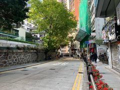 -一乐烧鹅(中环店)