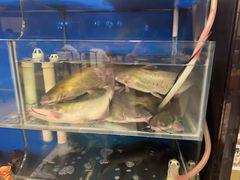 -秦记香辣蟹(松榆里店)