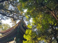 -北京国子监胡同