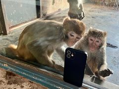 -大连森林动物园