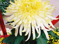 -上海市龙华烈士陵园