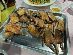 -阿鸟农庄(石壁店)