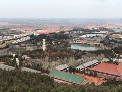 -龙口南山旅游景区
