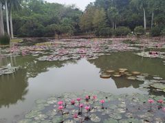 -中国科学院西双版纳热带植物园