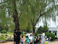 -莫子山公园