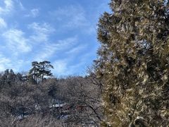 -潭柘寺景区