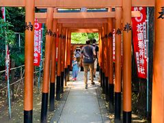 -上野公园花园稻荷神社(忍岡稲荷神社)