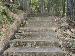 -广州市帽峰山景区